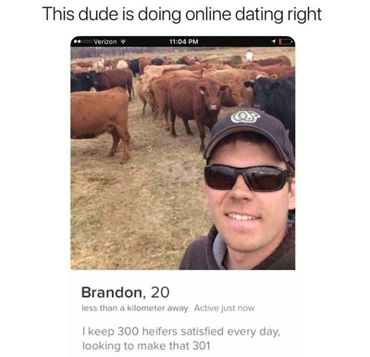 Online dating meme