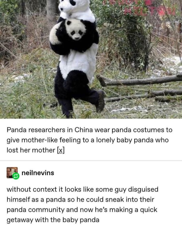 Panda - Meme by  :) Memedroid