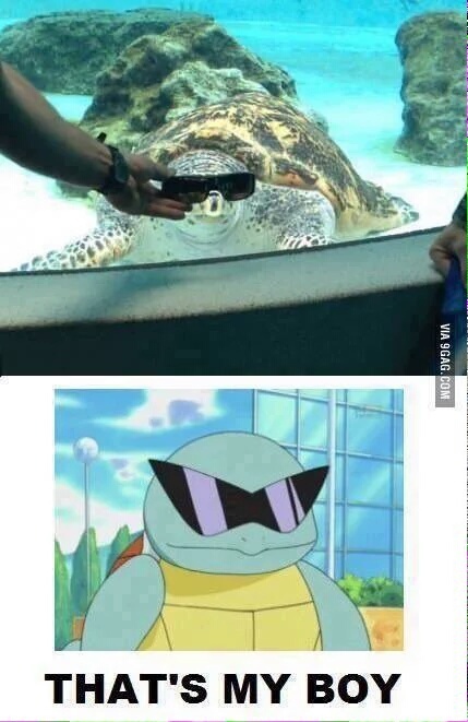 Ese Squirtle Meme Subido Por Nikica Memedroid