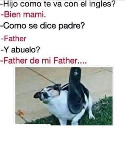 Bien Mami Meme Subido Por Saimon0720040506 Memedroid 2979