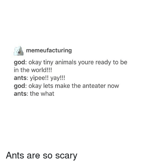 God Naming animals - Meme by lolita_geaux :) Memedroid God Naming animals - Meme by lolita_geaux :) Memedroid