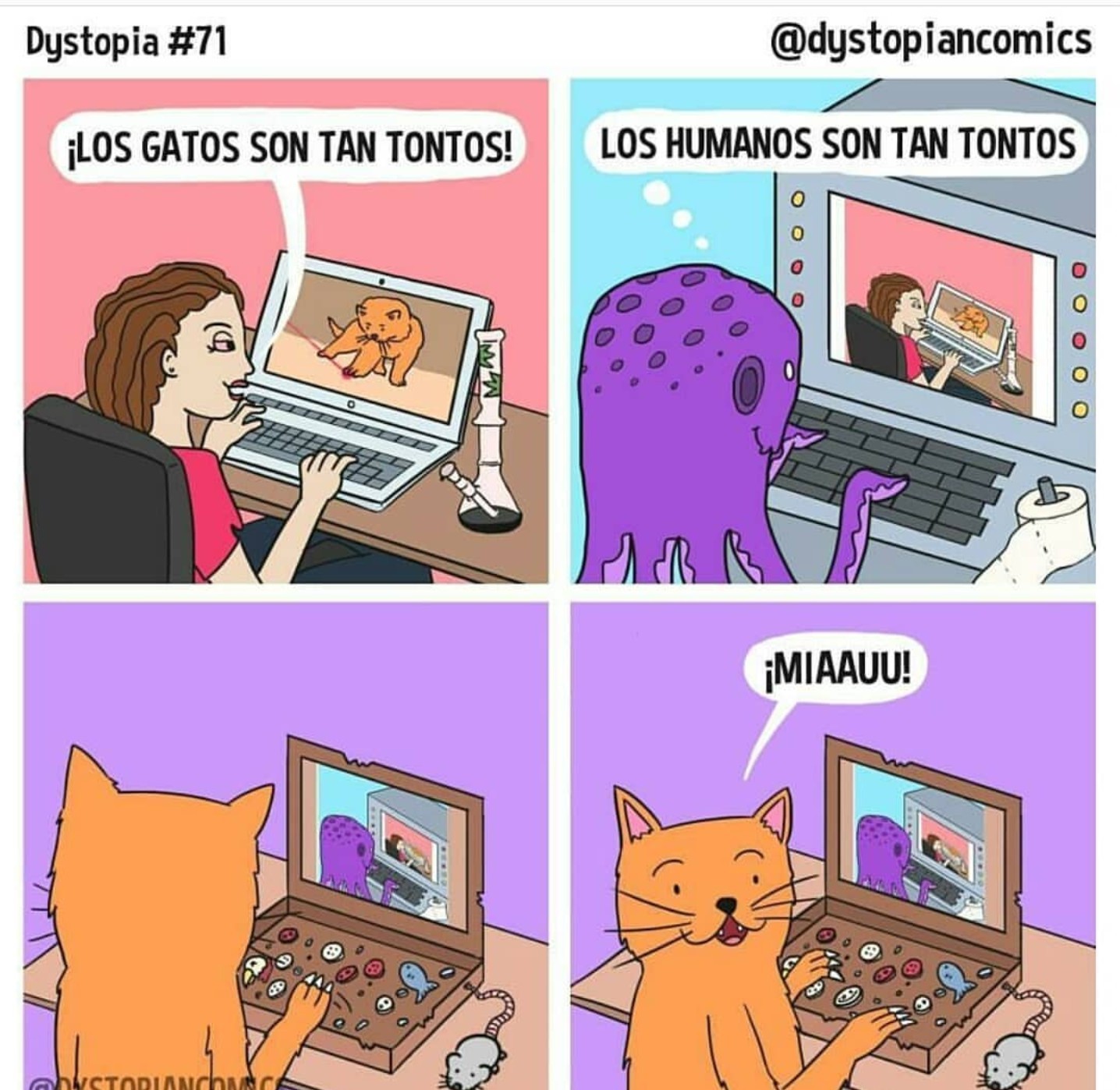 100 Memes De Gatos No Pararas De Reir Con Las Imagenes Gratis