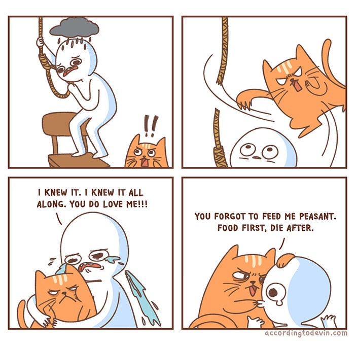 Cats Are Selfish Meme By Mustafatopi Memedroid