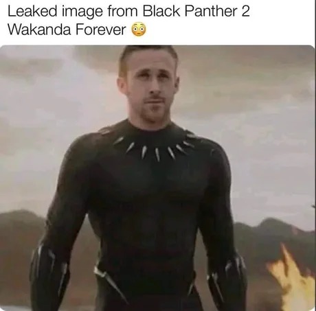 Leaked image Black Panther 2 - Meme by FuzzyGrim :) Memedroid