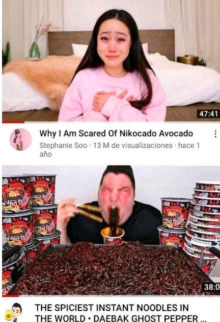 Nikocado avocado meme