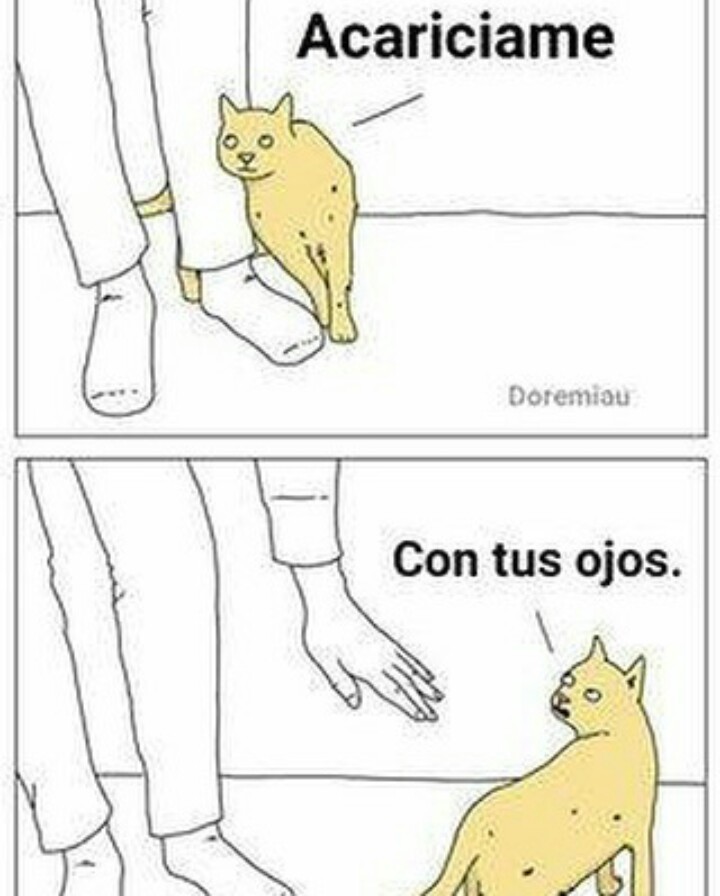 Gatos Meme Subido Por E L S A Memedroid