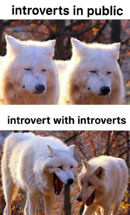 Introvert Meme Meme Subido Por Isaidnope Memedroid