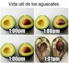 Vida De Los Aguacates Meme Subido Por Momo Memedroid