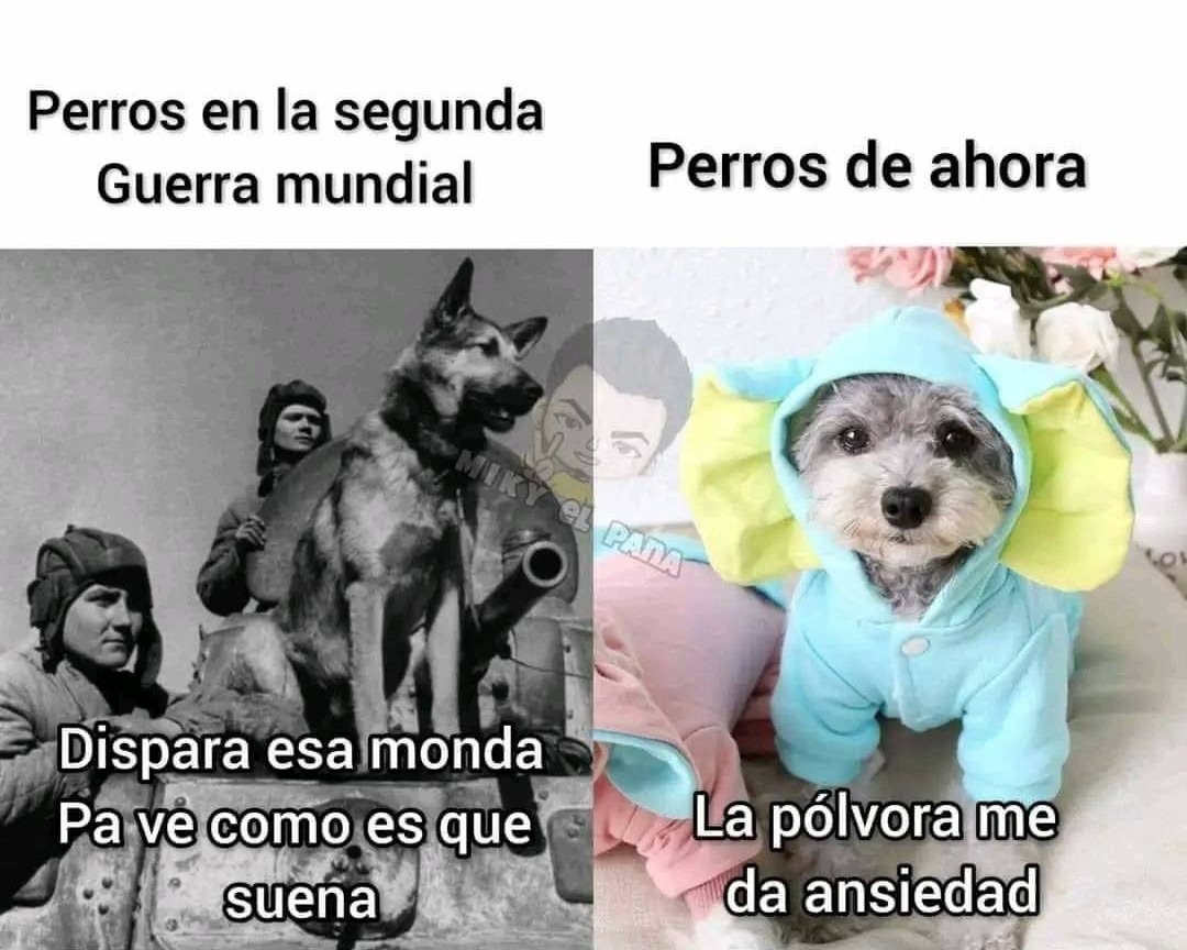 Hasta Los Perros Tienen Generaci N De Cristal Meme Subido Por