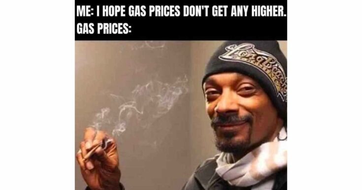 snoop Meme by gmanmeme1 :) Memedroid