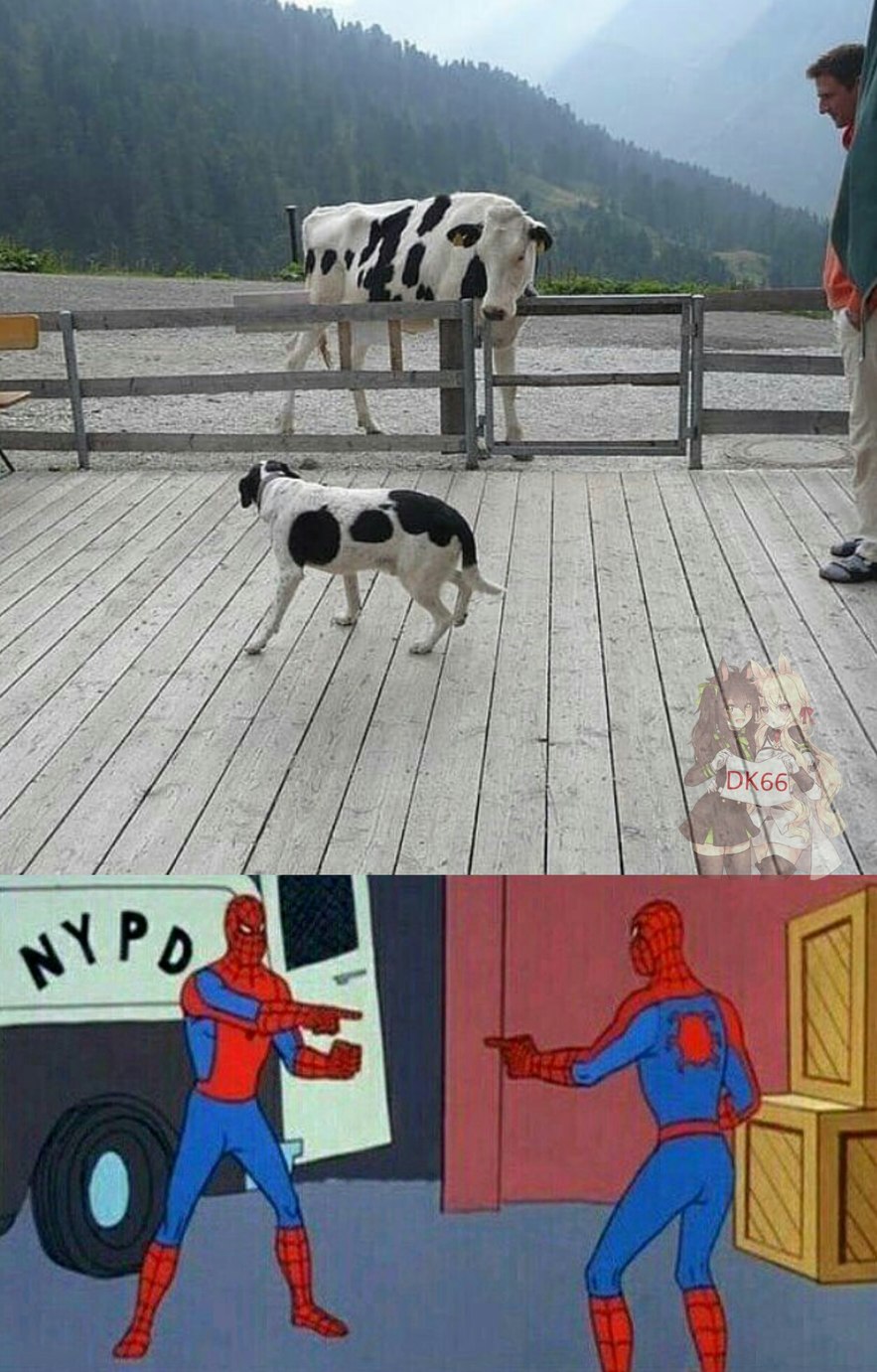 El Alien Confunde Al Perro Con La Vaca Y Se Lleva Al Humano Meme