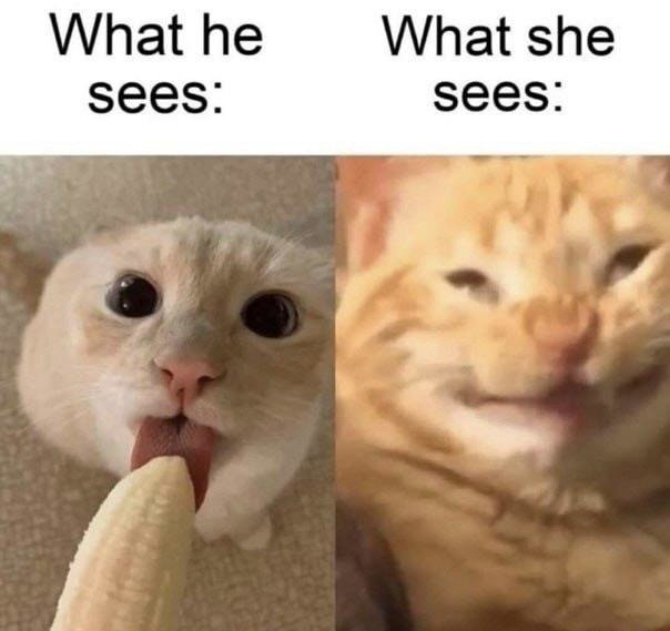 What he sees vs what she sees Meme subido por WhiteLies ) Memedroid