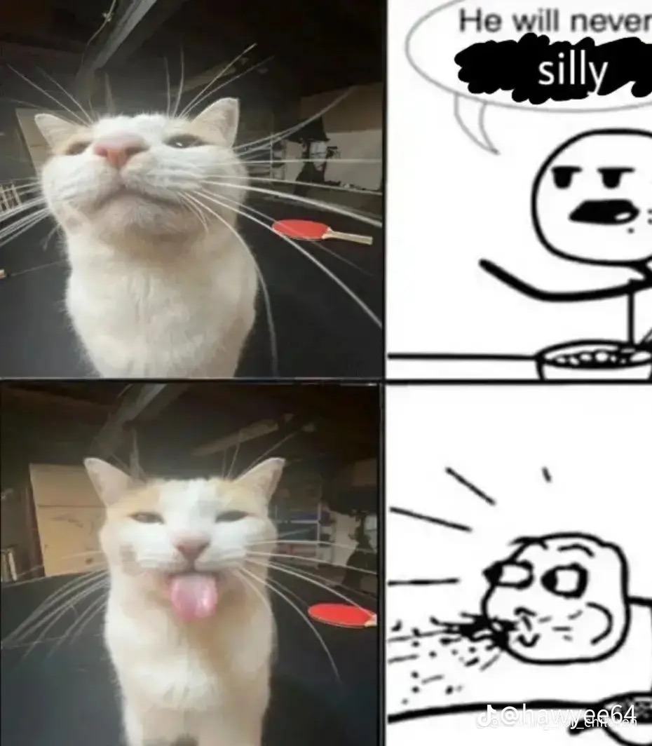 Silly Cat Meme By HUHh Memedroid