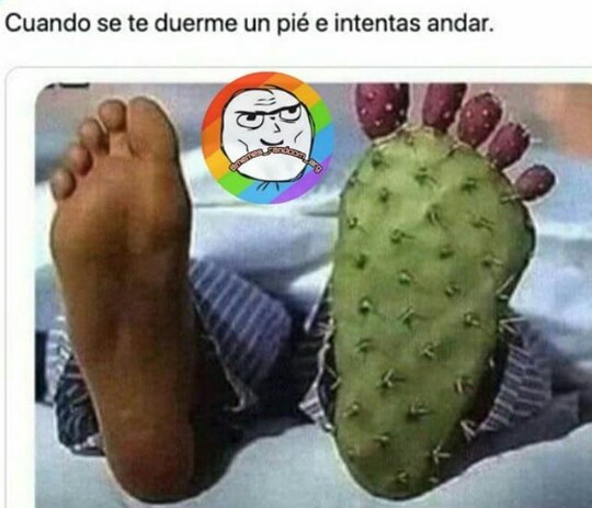 Jajaja La Verdad Meme Subido Por Momos Fake Memedroid