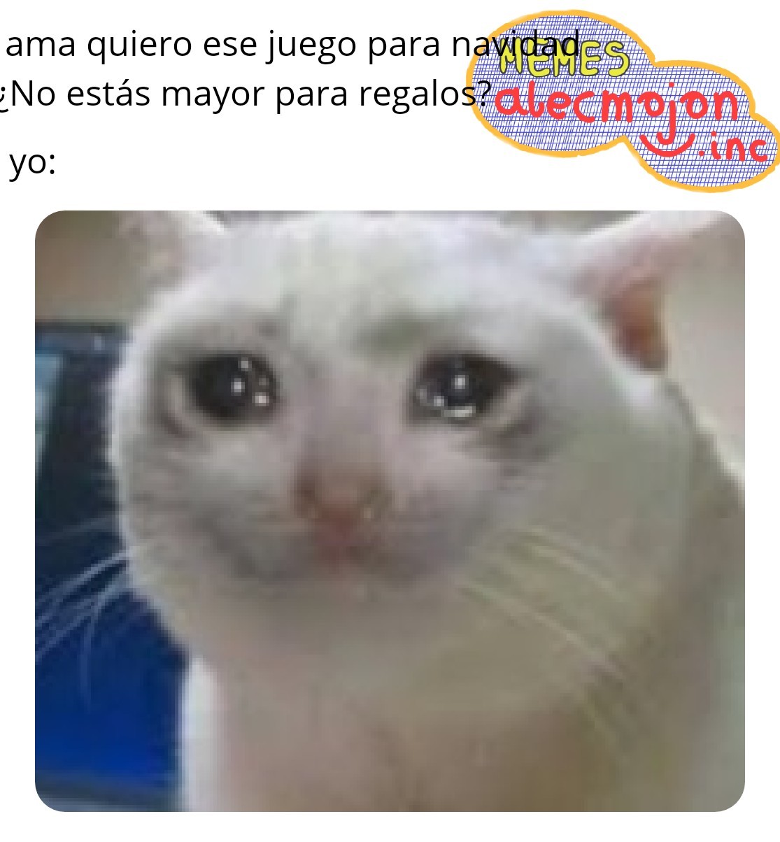 15+ Meme Del Gato Llorando Por Google - Woolseygirls Meme