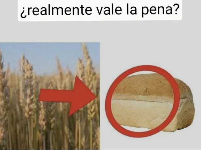 La Tragedia Que Desconoc As Del Pan Meme By Sxndri Memedroid