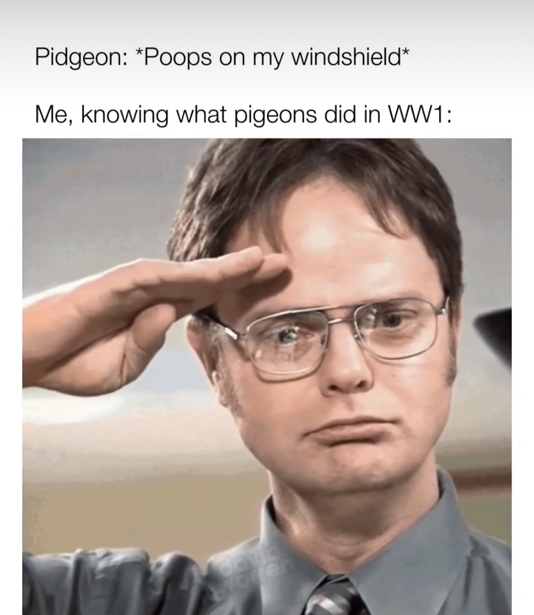 have more medals than any other animal Meme by Tomcatx21 ) Memedroid