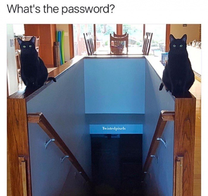 Enter Password Meme By Superilluminati Memedroid The Best Porn Website