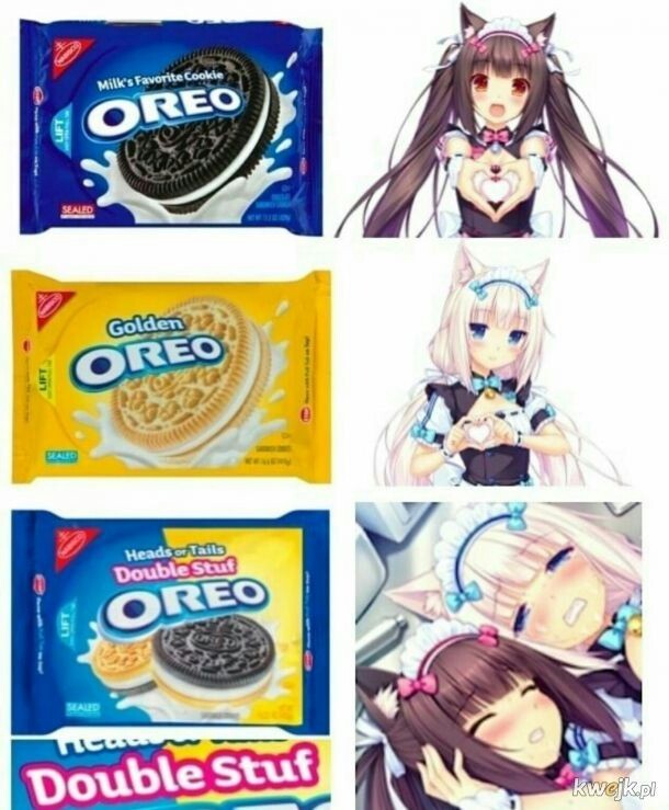 Mints the best Meme by ZuzuDinoNinja1 ) Memedroid