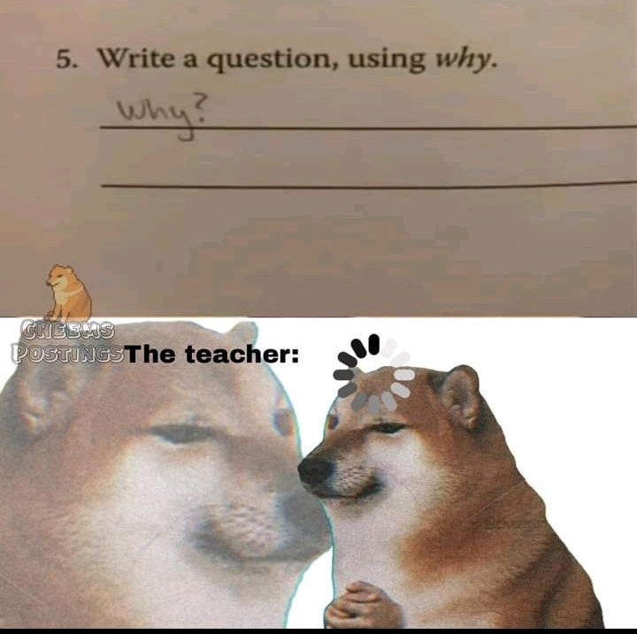 why xd Meme by usuario_del_2020_xd ) Memedroid