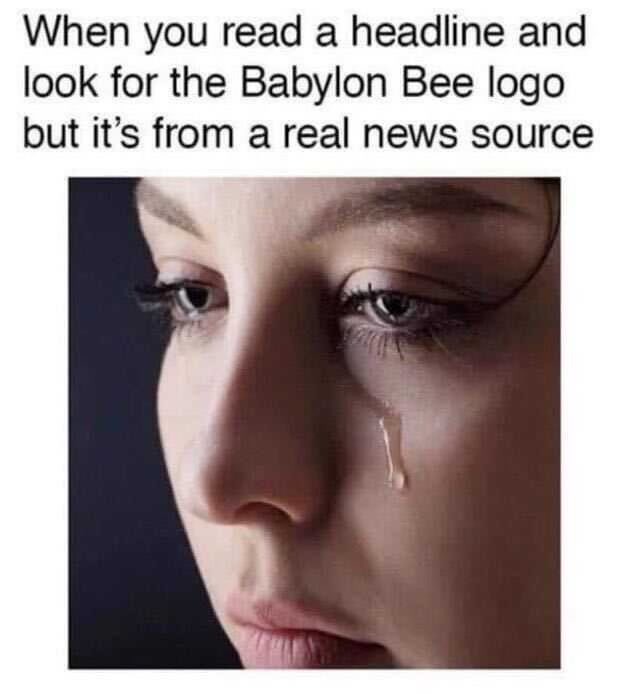 Babylon Bee - Meme Subido Por Sonic_McGriddle :) Memedroid