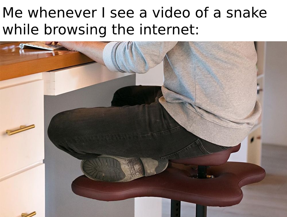 When i see a video of a snake - Meme subido por vaperWave :) Memedroid