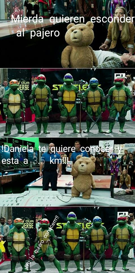 Tortuga V Meme Subido Por Manhidu Memedroid