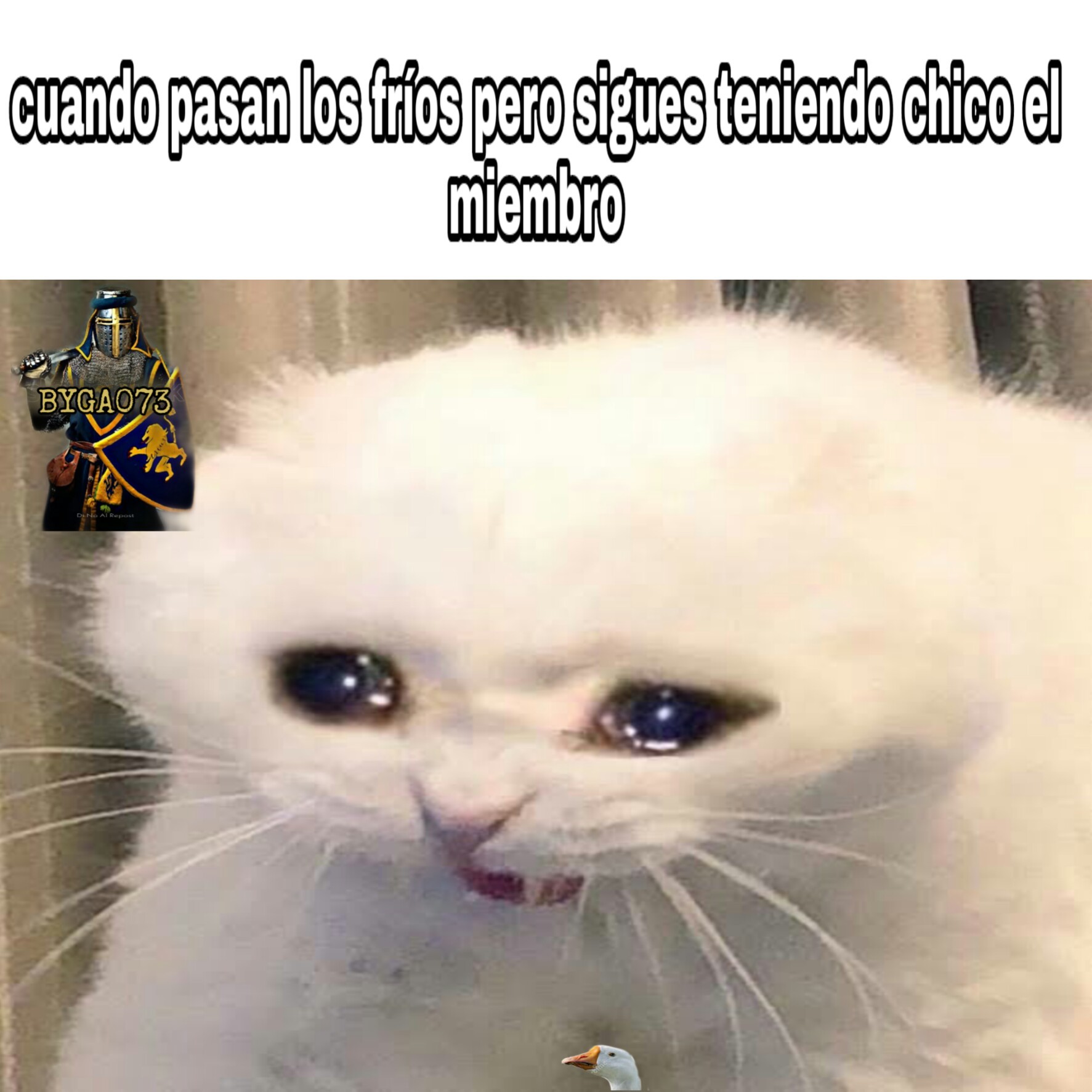 Download Meme Gato Llorando Google | PNG & GIF BASE