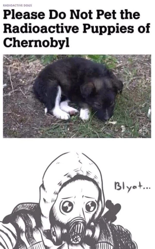 Please do not pet the radioactive puppies of Chernobyl - meme