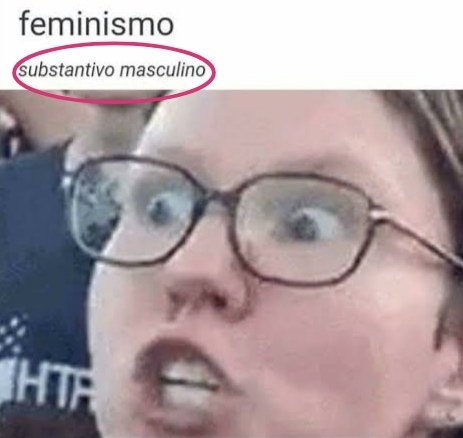 Feminist triggered - meme