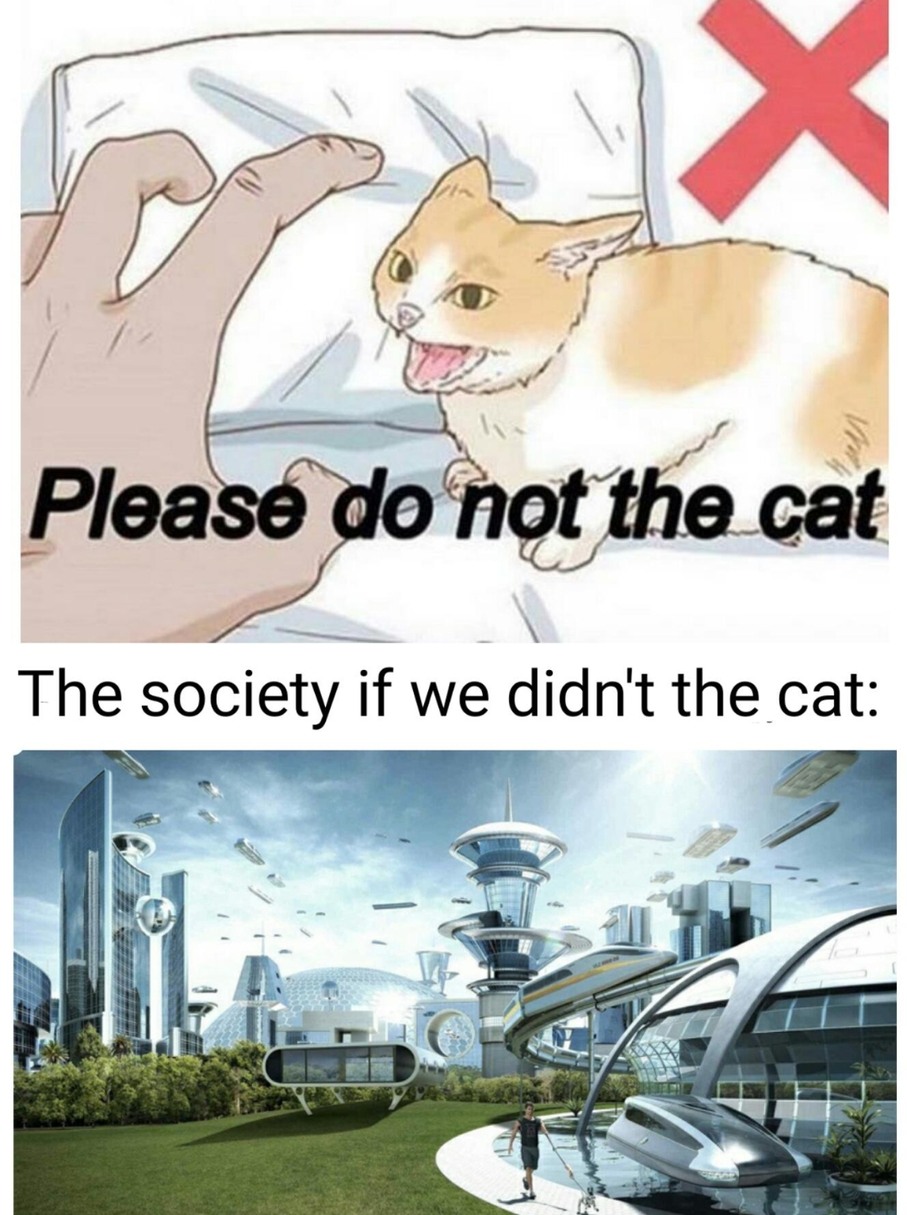 Do not the cat - meme