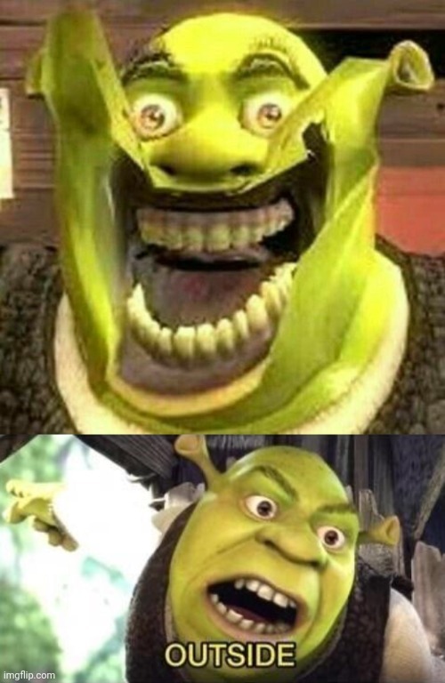 wide shrek Memes & GIFs - Imgflip