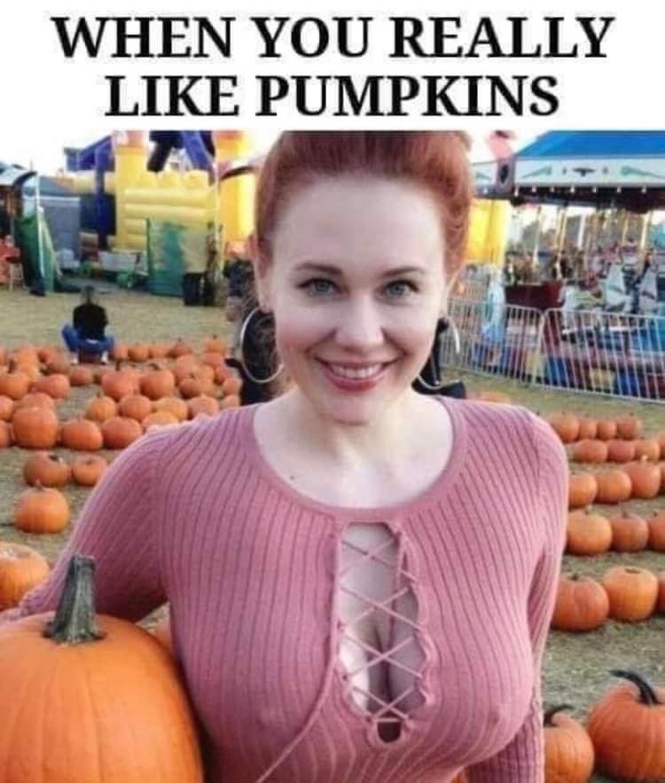 spooky time. normally I’m not into pumpkin spice but this may change my mind - meme