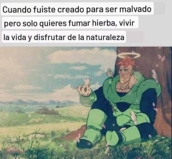 El fumón del salón - meme