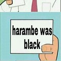 Dicks out for harambe