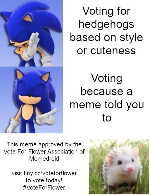 Get out and vote! - meme