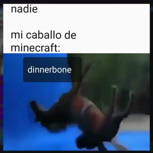 DINNERBONE - meme