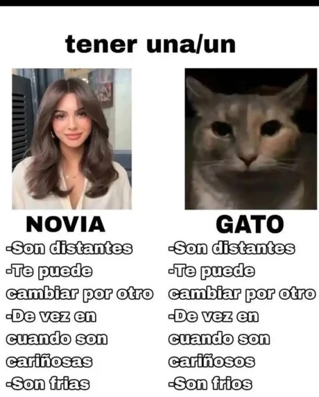 Tener novia o tener gato - meme