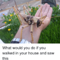commented item thumbnail