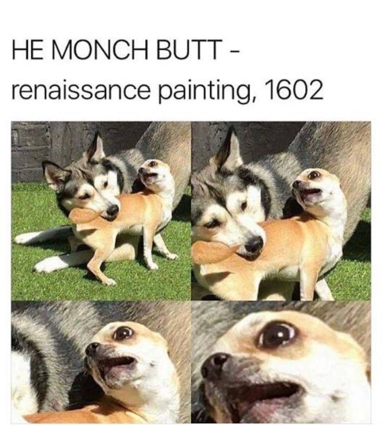 MONCH THAT BUTT - meme