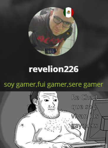 No tengo ningún problema con que seas gamer, mi problema está en que te la autochupes diciendo que eres gamer - meme