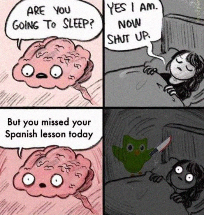 oops you miss your lesson - meme