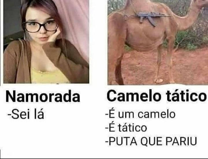 Camelo tático>>>>>>>> menina q pega teu dinheiro - meme