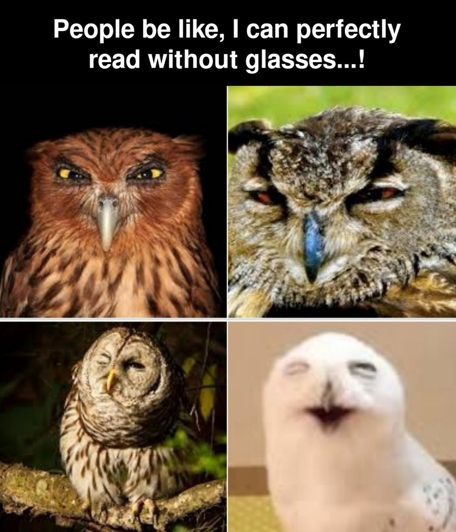 Wisdom of the owls - meme