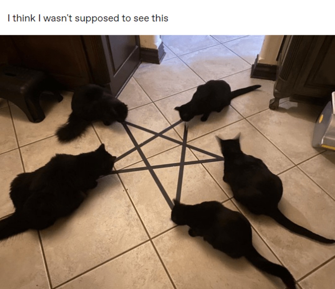 woah - meme