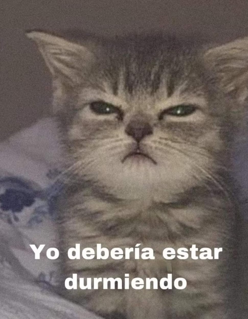 Debería dormir un rato - meme