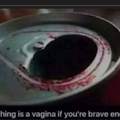 Anything's a vagina