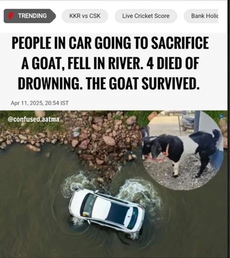 GOAT WINS - meme
