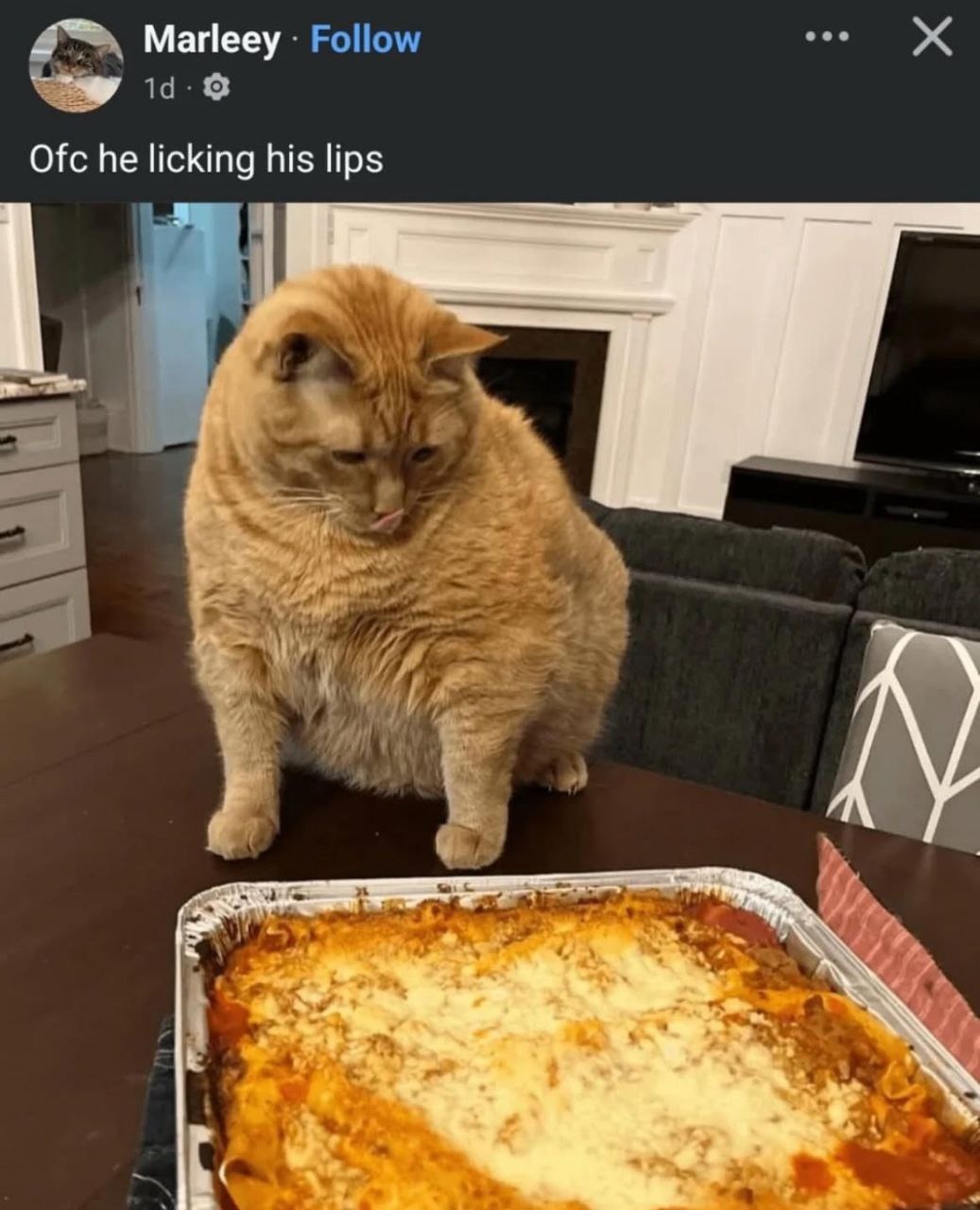 of course he's licking his lips - meme