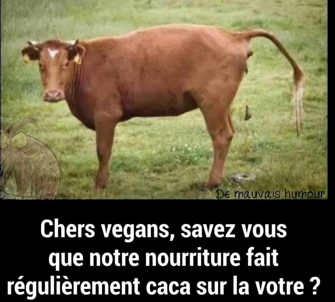 Les vaches font caca sur les salades des vegans peace - meme
